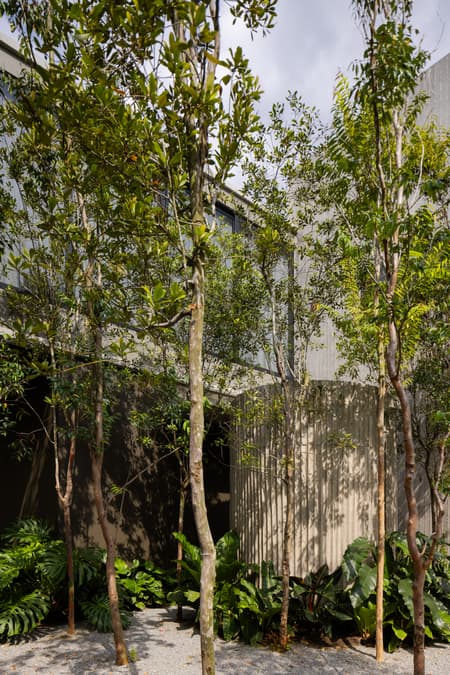 Tropical Shift House